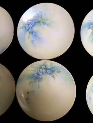 Set Of Six Antique Dated 1916 Signed Hand Painted Forget Me Not Cabinet Plates 6