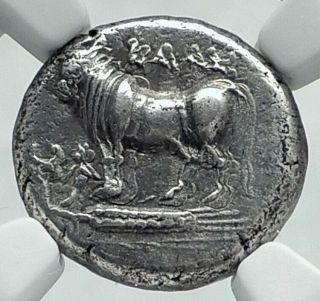 Kalchedon In Bithynia Authentic Ancient 357bc Silver Greek Coin Bull Ngc I78645