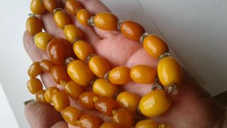 Amber Beads Old Butterscotch / Egg Yolk Honey Toned 37.  6grms