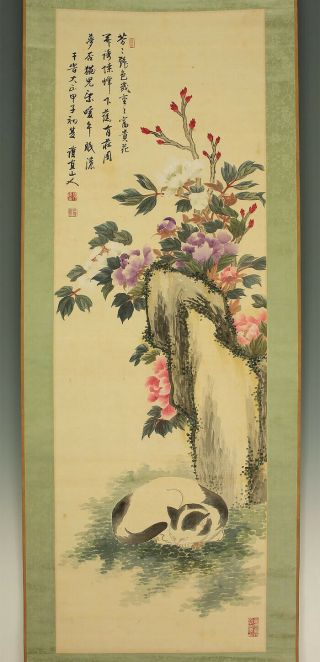 掛軸1967 Japanese Hanging Scroll : Gochoku " Flowers And Sleeping Cat " @zkn225