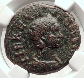 Herennia Etruscilla Vimiancium 250ad Bull Lion Ancient Roman Coin Ngc I73094