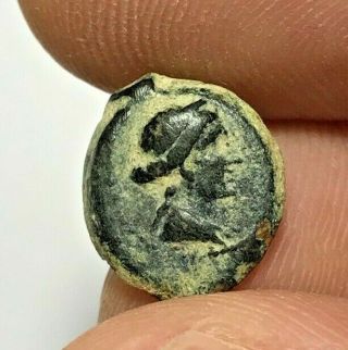 Museum Quality Ancient Greek Ptolemy Bronze Coin Cleopatra Vii 1.  8gr 14.  5mm