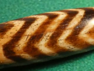 ANCIENT PUMTEK PYU BEAD  5 ZIG ZAG TIGER 