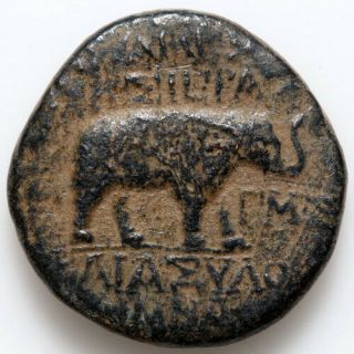 Ancient Greek Coin Apameia,  Syria,  Ae Seleukid Era Ca 70 - 69 Bc