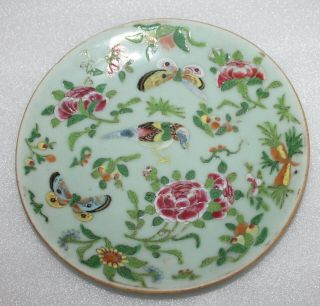 A C19th 7.  5 " Chinese Celadon Plate - Enamel Floral Birds Butterfly