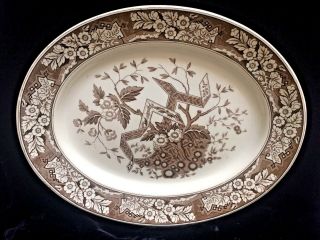 Huge 18” Antique Brown Transferware Wedgwood Beatrice Aesthetic Turkey Platter