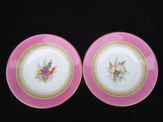2 Scarce Antique 19th C.  Royal Worcester Hand - Painted Floral Plates Dated 1877
