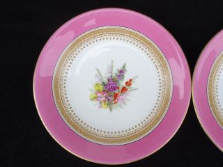 2 SCARCE ANTIQUE 19TH C.  ROYAL WORCESTER HAND - PAINTED FLORAL PLATES DATED 1877 2