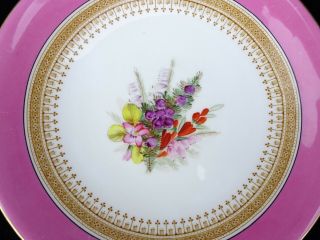 2 SCARCE ANTIQUE 19TH C.  ROYAL WORCESTER HAND - PAINTED FLORAL PLATES DATED 1877 3