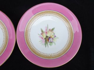 2 SCARCE ANTIQUE 19TH C.  ROYAL WORCESTER HAND - PAINTED FLORAL PLATES DATED 1877 4