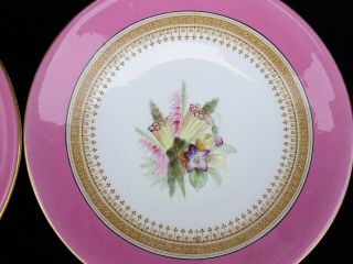 2 SCARCE ANTIQUE 19TH C.  ROYAL WORCESTER HAND - PAINTED FLORAL PLATES DATED 1877 5