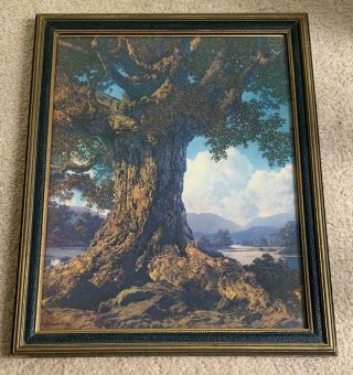 Maxfield Parrish - - " An Ancient Tree " Framed 15 " X 18.  5 " Art Deco Vintage