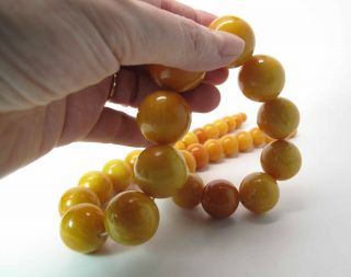 Antique Round Egg Yolk Baltic Amber Necklace w/ 30 - MM Center Bead 164.  6 Grams 12