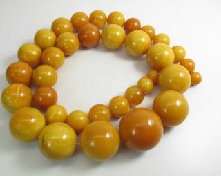 Antique Round Egg Yolk Baltic Amber Necklace w/ 30 - MM Center Bead 164.  6 Grams 3