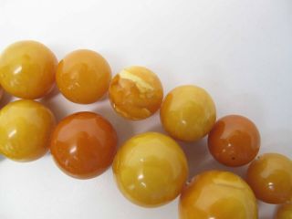Antique Round Egg Yolk Baltic Amber Necklace w/ 30 - MM Center Bead 164.  6 Grams 6