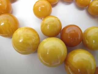 Antique Round Egg Yolk Baltic Amber Necklace w/ 30 - MM Center Bead 164.  6 Grams 7