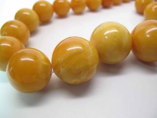 Antique Round Egg Yolk Baltic Amber Necklace w/ 30 - MM Center Bead 164.  6 Grams 9