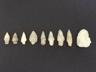 9 Ancient Native American Arrowheads From The North Fork Of Long Island York