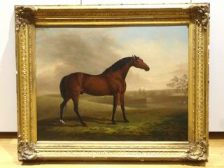 Large 19th Century Portrait " Shuttle " Bay Hunter Race Horse Landscape Antique