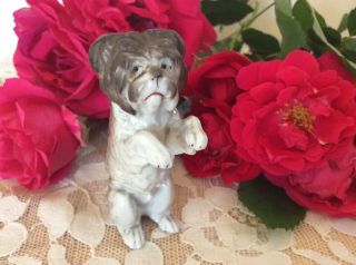 Antique German Porcelain Skye Terrier Dollhouse Begging Dog Figurine Bisque Doll