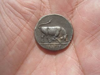 Ancient roman silver Denar,  Denarius,  Emperor Octavio,  scarce coin 2