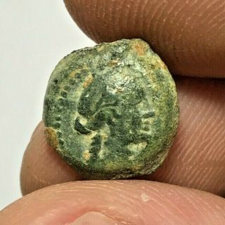 Ancient Greek Ptolemy Bronze Coin Cleopatra Vii 2.  1gr 14.  1mm