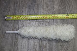 British Army Grenadier Guards Large White Feather Bearskin Plume