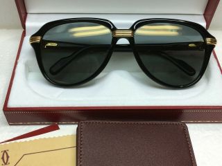 Vintage Cartier Vitesse 58 - 15 Sunglasses