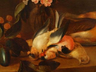 LARGE 17th Century FLEMISH STILL LIFE FRUIT BIRDS ON TABLE Antique Oil Painting 10