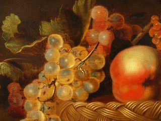 LARGE 17th Century FLEMISH STILL LIFE FRUIT BIRDS ON TABLE Antique Oil Painting 11