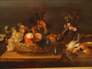 LARGE 17th Century FLEMISH STILL LIFE FRUIT BIRDS ON TABLE Antique Oil Painting 3