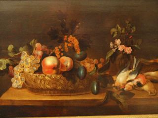 LARGE 17th Century FLEMISH STILL LIFE FRUIT BIRDS ON TABLE Antique Oil Painting 4