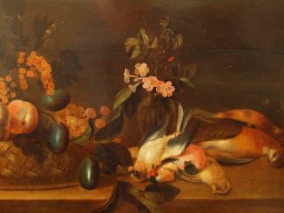 LARGE 17th Century FLEMISH STILL LIFE FRUIT BIRDS ON TABLE Antique Oil Painting 5