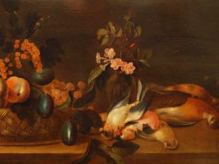 LARGE 17th Century FLEMISH STILL LIFE FRUIT BIRDS ON TABLE Antique Oil Painting 6