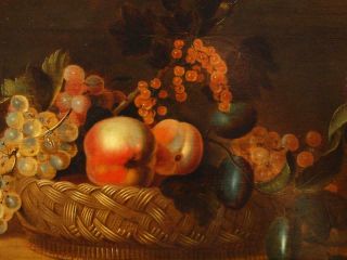 LARGE 17th Century FLEMISH STILL LIFE FRUIT BIRDS ON TABLE Antique Oil Painting 7