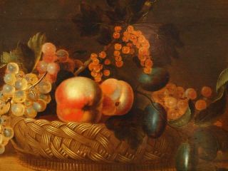 LARGE 17th Century FLEMISH STILL LIFE FRUIT BIRDS ON TABLE Antique Oil Painting 8