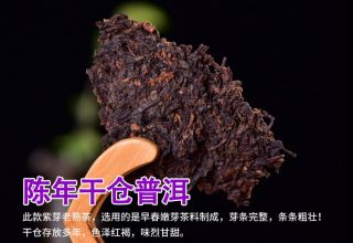 Zhao Shu Tun Purple Buds Aged Ancient Tree Puer Pu - erh Tea Cake 2016 357g Ripe 6
