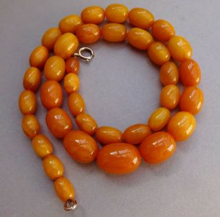 Antique Edwardian Egg Yolk Butterscotch Amber Bead Necklace 38 Gm 21.  5 Inches