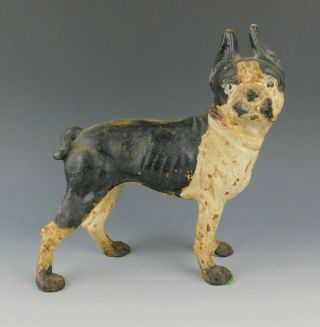 Antique Hubley Boston Terrier Cast Iron Dog Tan & Black Doorstop Sculpture