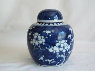 Antique Chinese Porcelain Prunus Ginger Jar & Cover,  Double Ring Mark.