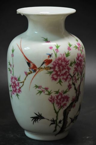Chinese Famille Rose Porcelain Painted Flower Vase
