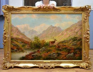 Fine Large Antique 19thc Oil Painting Red Deer Isle Of Arran Scotland