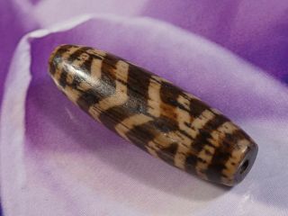 ANCIENT PUMTEK PYU BEAD  4 ZIG ZAG TIGER 