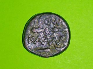 Kallatis Thrace 300 Bc Ancient Greek Coin Club Grain Ear Athena Goddess Of War