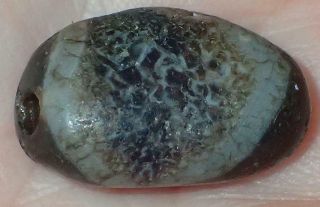 19.  5mm Ancient Rare Dzi Agate Bead,  2000,  Years Old,  Mc41