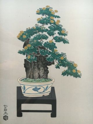 Nisaburo Ito Potted Chrysanthemum Japanese Woodblock Print Framed 2