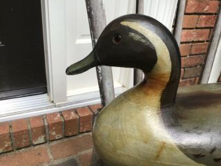 Antique vintage old wooden Charles Perdew Illinois pintail duck decoy 5