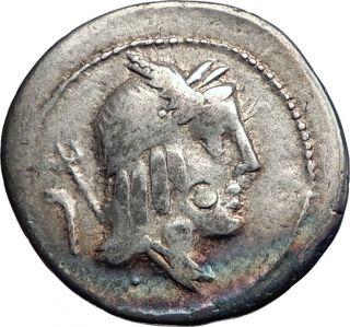 Roman Republic Julius Bursio 85bc Silver Ancient Coin Apollo Horse I74190