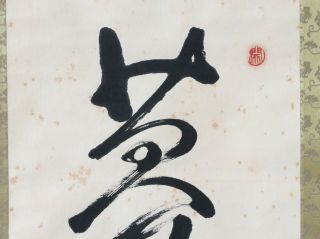 掛軸日本 Japanese Hanging Scroll Calligraphy 夢 Dream / W 43 × H 153[cm] [C336] 4