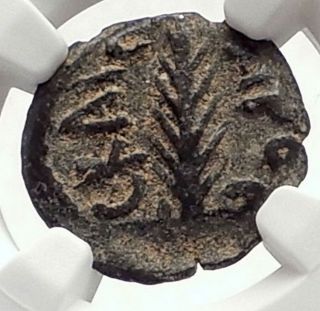 Biblical Jerusalem Saint Paul Nero Porcius Festus Ancient Roman Coin Ngc I70641